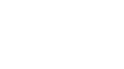 Borland Delphi, Lazarus JavaScript, PHP,  HTML/CSS MySQL, SQLite Oracle, dBase C#, Phyton DrawPlus,  PhotoPlus CorelDraw, Inkscape, Photoshop SEO,  Web DESIGN