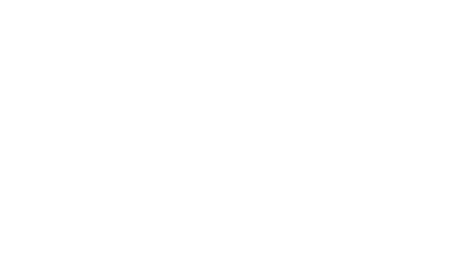 Borland Delphi, Lazarus JavaScript, PHP,  HTML/CSS MySQL, SQLite Oracle, dBase C#, Phyton DrawPlus,  PhotoPlus CorelDraw, Inkscape, Photoshop SEO,  Web DESIGN